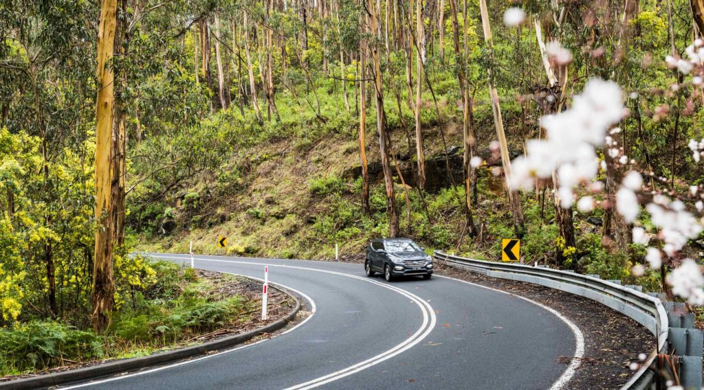 Otway hinterland driving