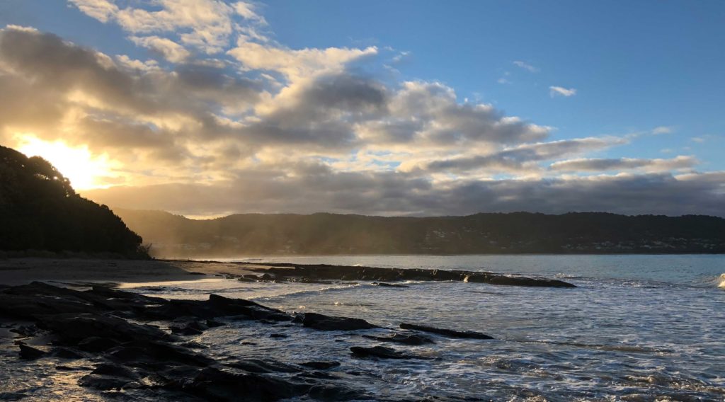 Stormy lorne