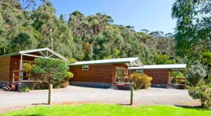 Cedar Cabins